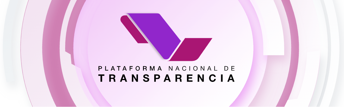 Obligaciones de Transparencia