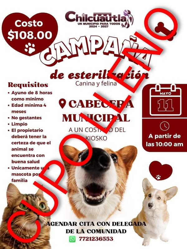 Noticia
