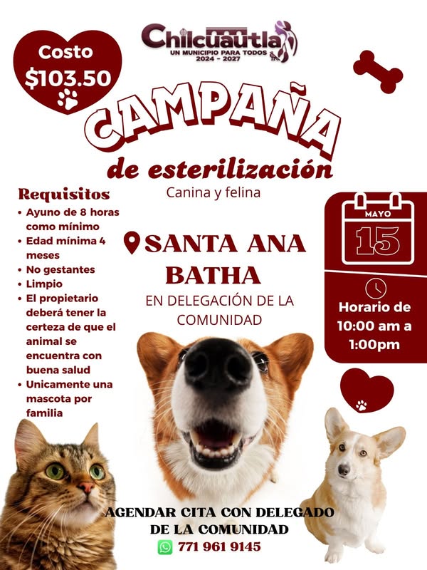 Noticia