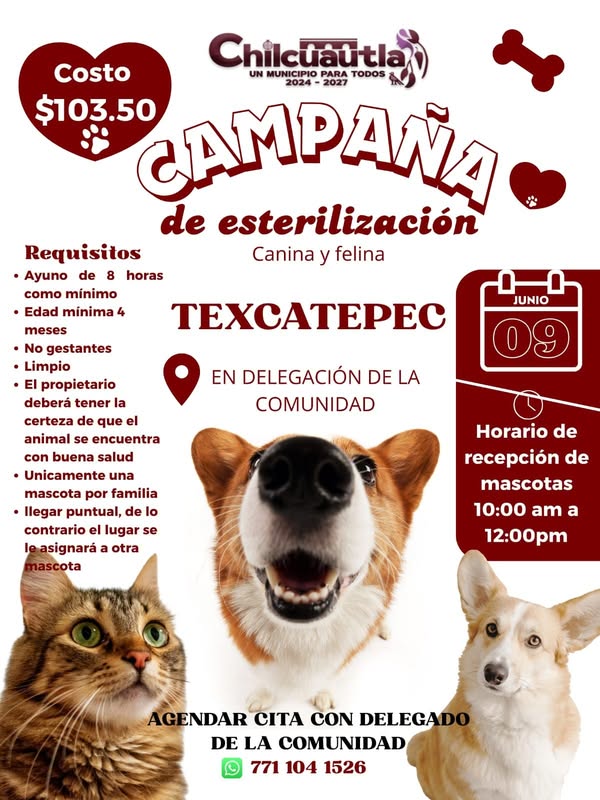 Noticia