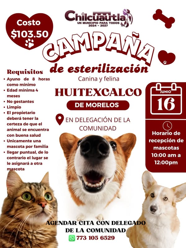 Noticia