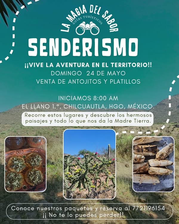 Noticia
