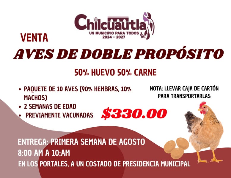 Noticia