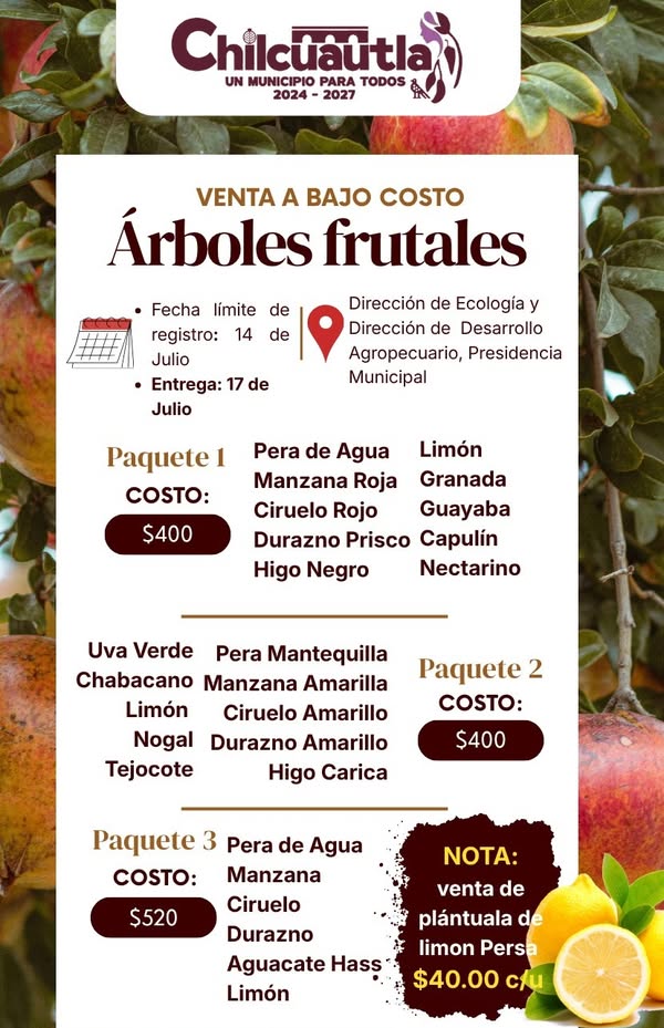 Noticia