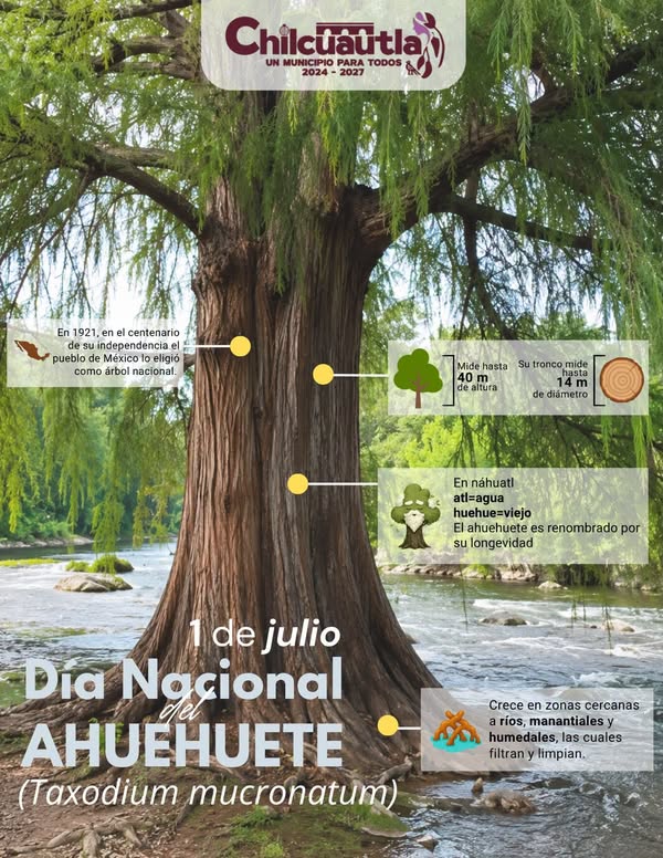 Noticia