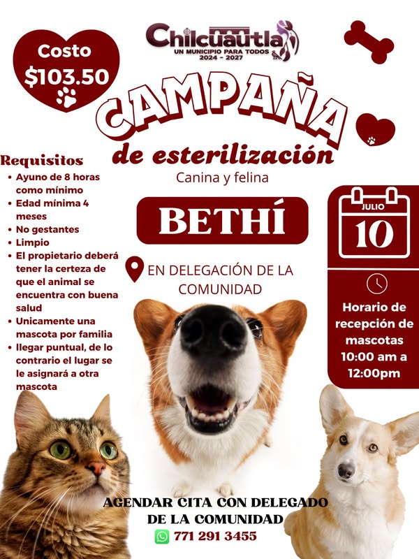 Noticia