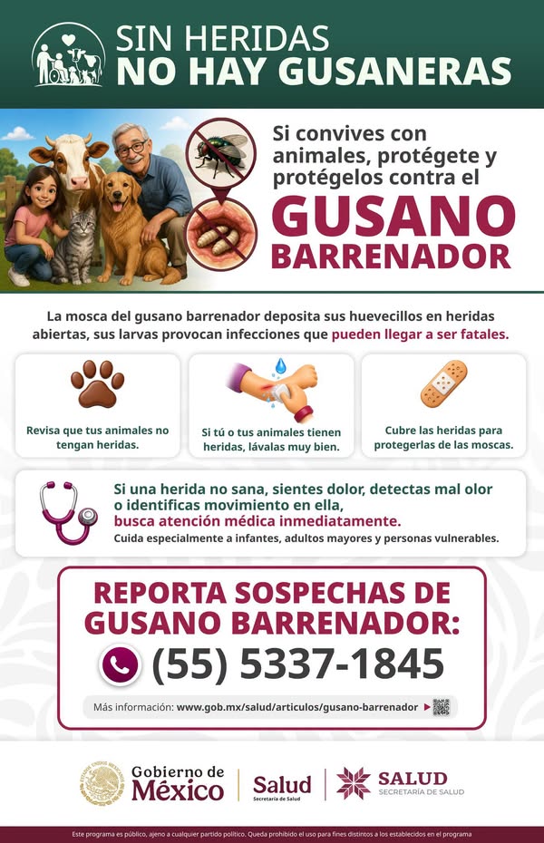 Noticia
