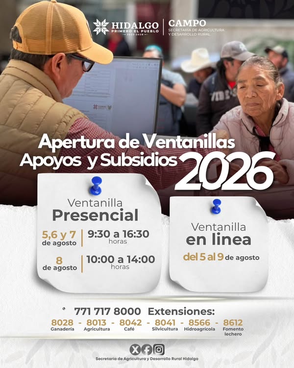 Noticia