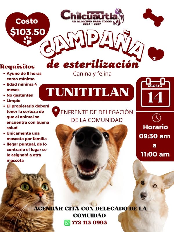 Noticia