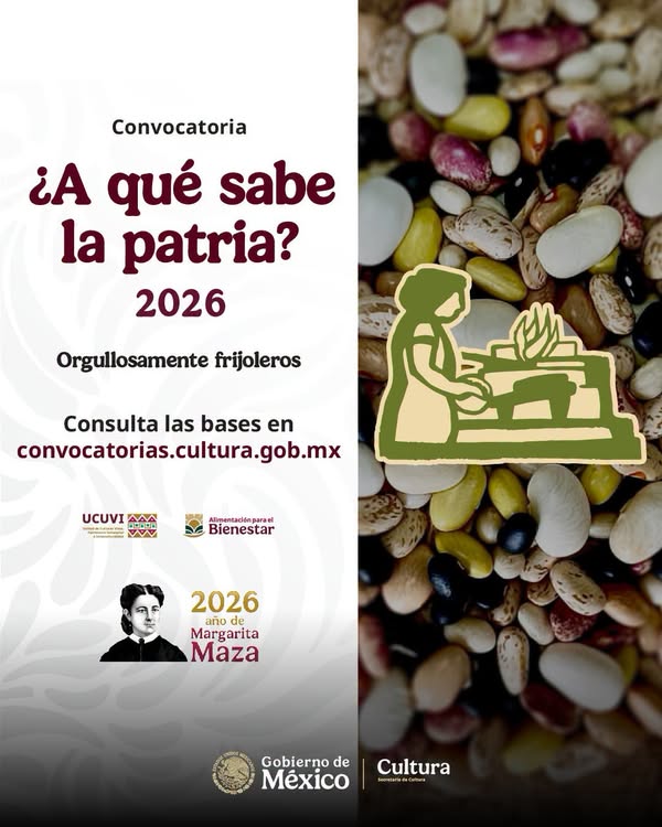 Noticia