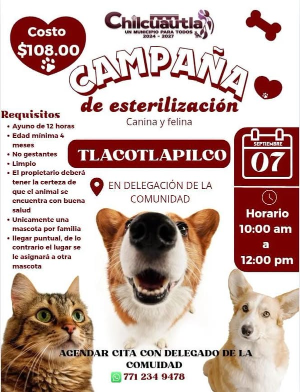 Noticia
