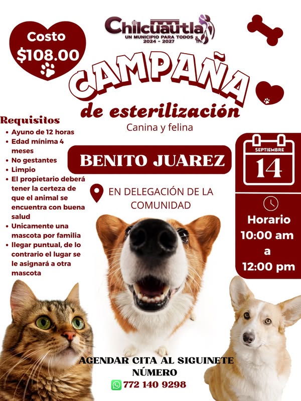 Noticia